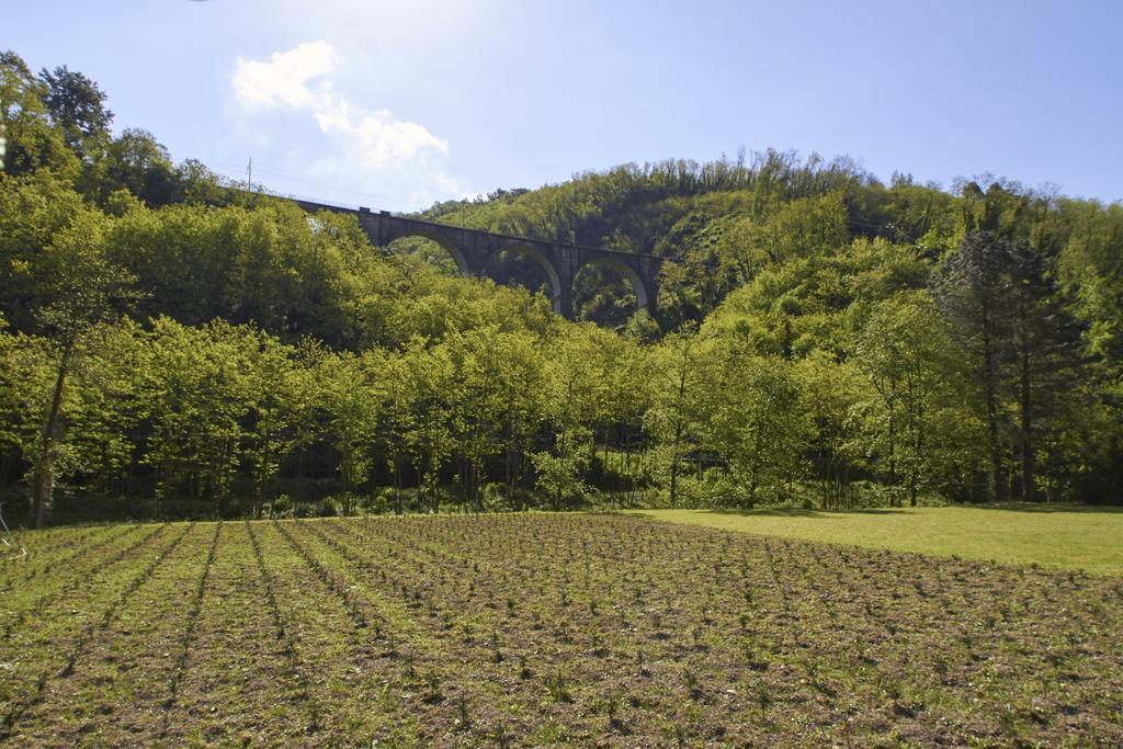 Podere Campofossato Pistoya Exterior foto